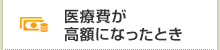 医療費が高額になったとき