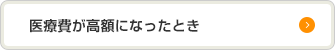 医療費が高額になったとき